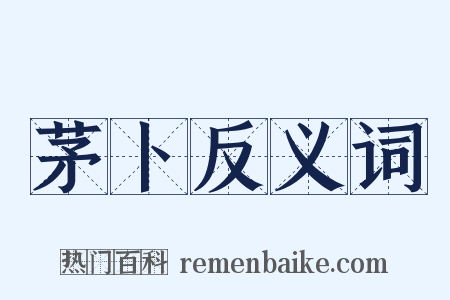 茅卜反义词是什么意思的图片